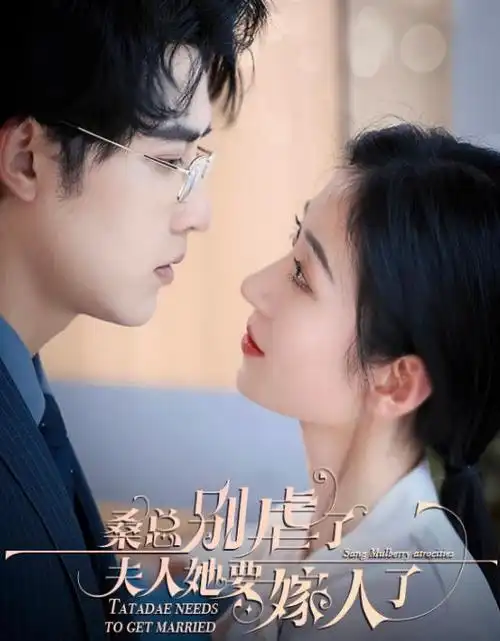 旧巷烟火 热播电视剧全集免费在线观看